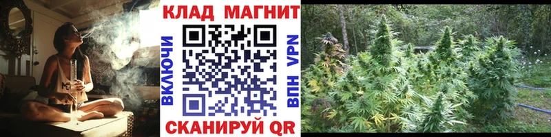 Виды наркотиков купить Аша Гашиш  Амфетамин  Меф мяу мяу  А ПВП 