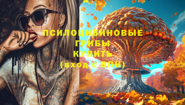 ECSTASY Нязепетровск