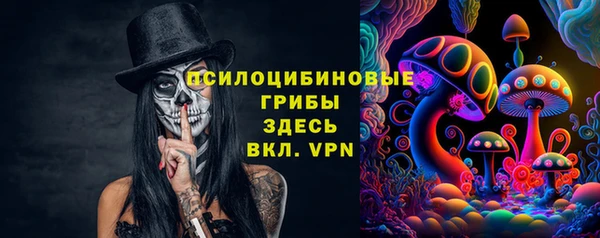 трава Няндома