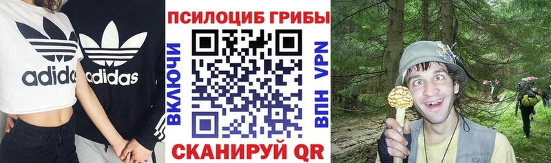 Галлюциногенные грибы ЛСД  Аша 